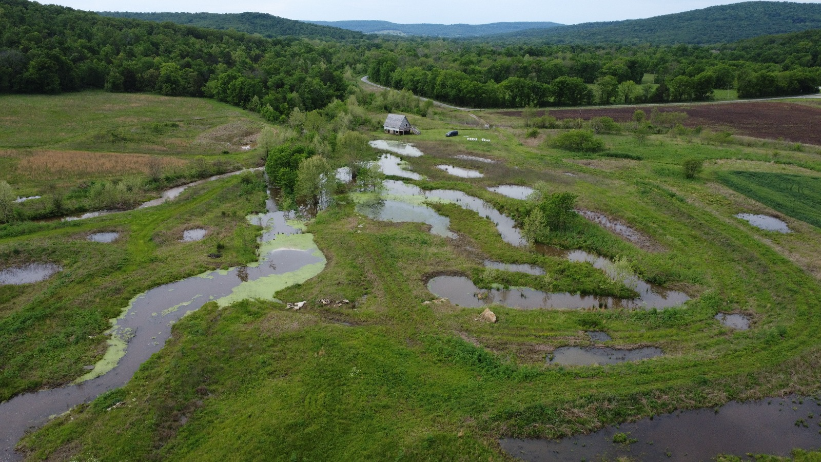 Restoring Bush Valley: From Worn Farmland to Thriving Wetlands