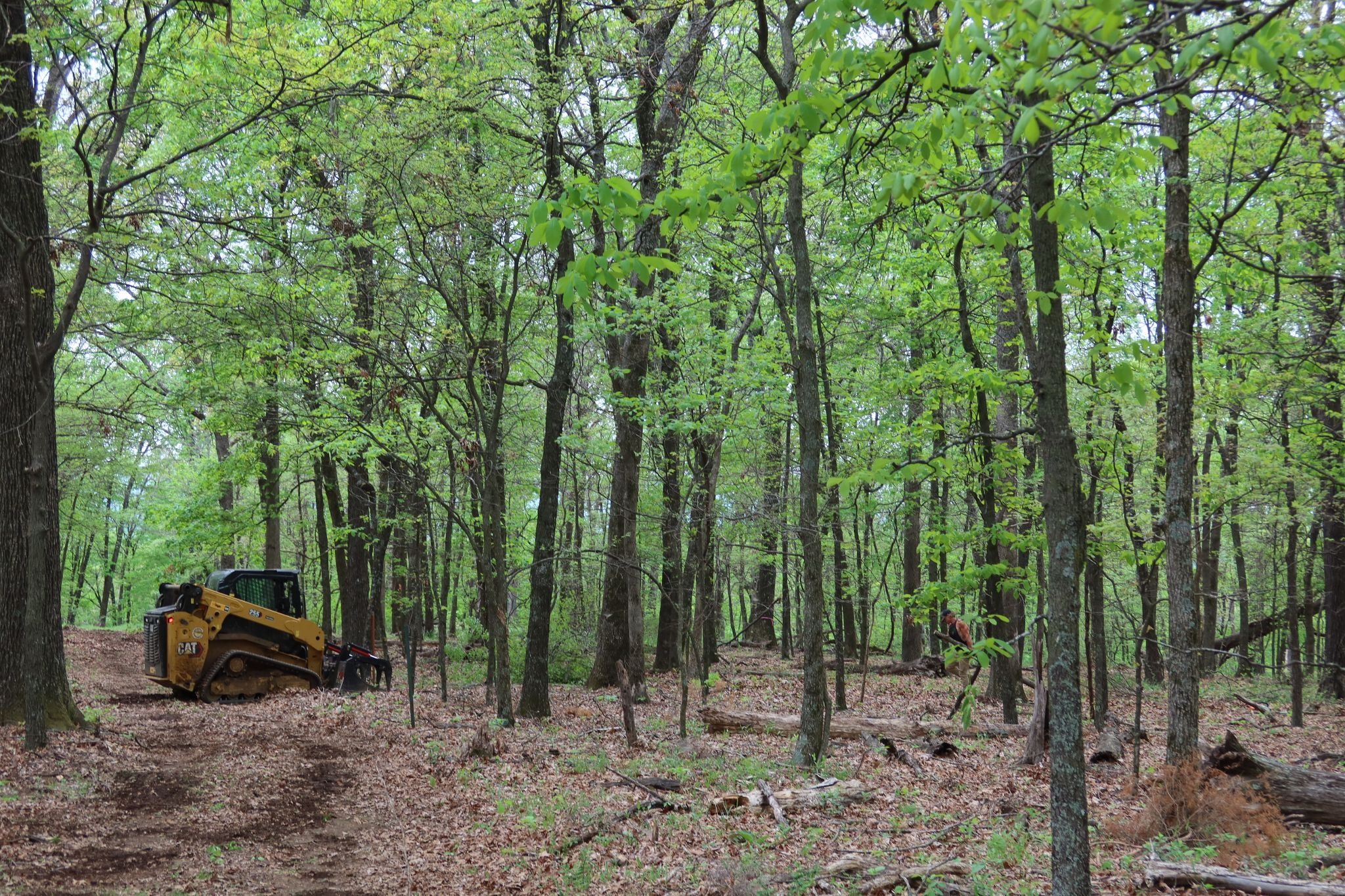 Coupling Timber Stand Improvement with Sustainable Milling at the Colburn Barn